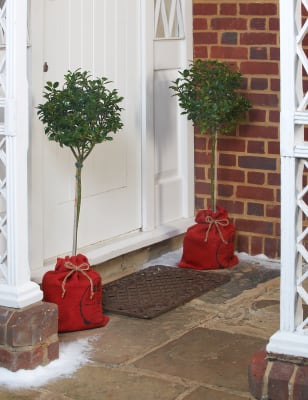 Holly Tree Standard Pair