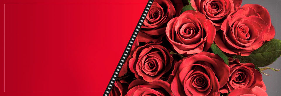 Gifts, Flowers &amp; Hampers | Marks &amp; Spencer