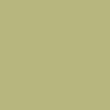 Pure Cotton Parterre Eyelet Curtains - sagegreen