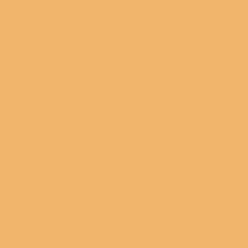 Arizona Buckle Flatform Sliders - lightgold