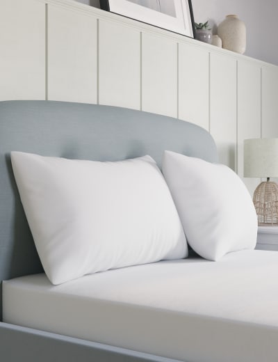 Mark and top spencer pillows