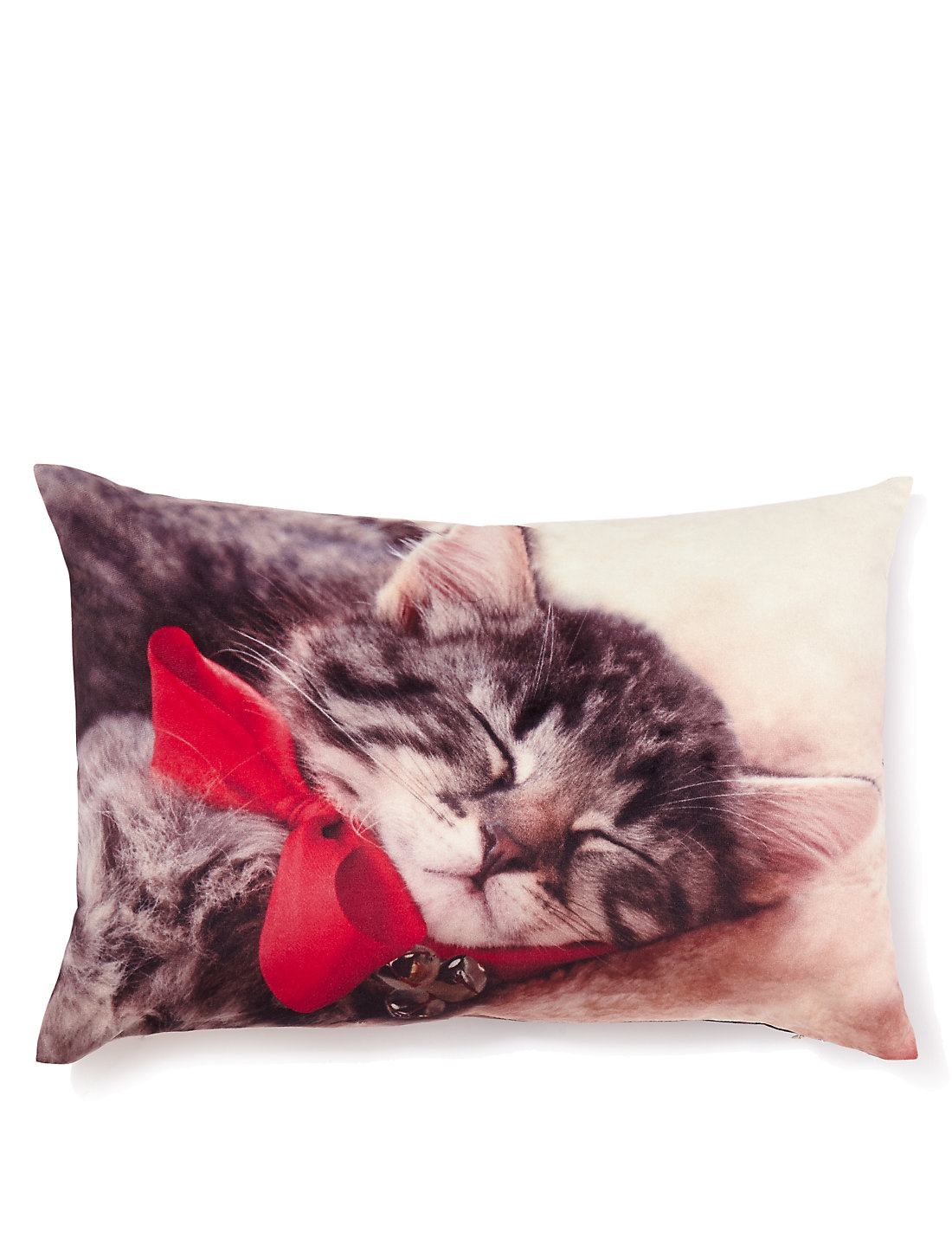 Kitten pillow