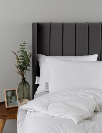 2pk Goose Feather Down Pillows M S Collection M S