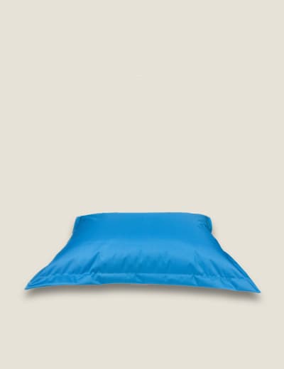Marks and clearance spencer v pillow