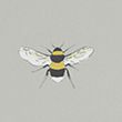 Bee Roller Blind - natural
