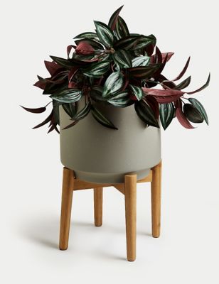 Large Ceramic Planter with Stand