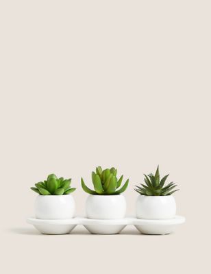 Set of 3 Artificial Succulents