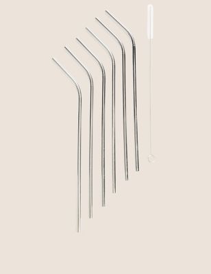 Set of 6 Reusable Straws with Brush
