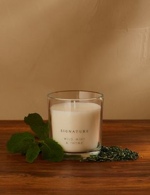 Signature Wild Mint & Thyme Boxed Candle