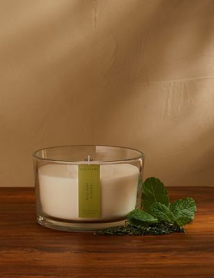 Wild Mint & Thyme 3 Wick Candle