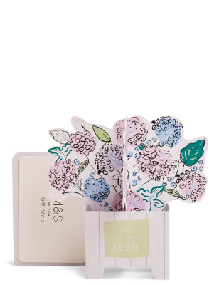 Mum Pop Up Flowers Gift Card