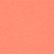 Cotton Rich Long Sleeve Sweatshirt - brightcoral