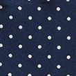 Pin Dot Pure Silk Pocket Square - blue