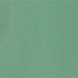 Pure Cotton Oxford Shirt - brightgreen