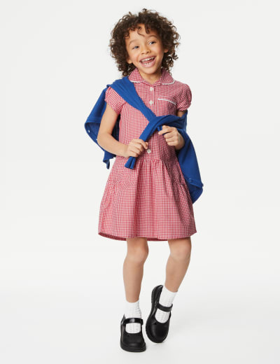 Plus fit blue gingham school dress sales