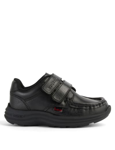 Kids Canvas Dinosaur T Bar Plimsolls CLARKS M S