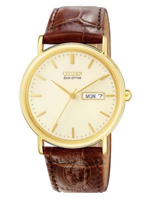 Citzen Eco-Drive Classic Brown Leather Watch