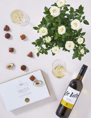 Rose Plant with White Wine & Chocolates Gift