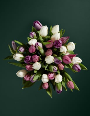 Bountiful Bunch of Pastel Tulips