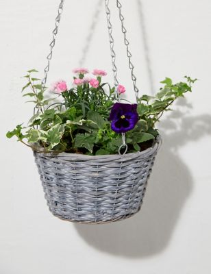 Mum's Outdoor Hanging Basket (Delivery from 16th March 2022)