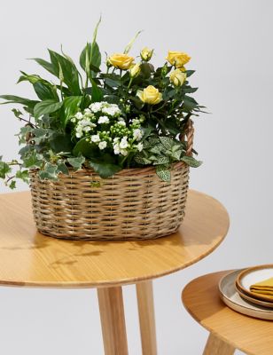 Large Spring Flowering Basket