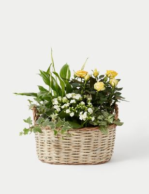 Large Spring Flowering Basket
