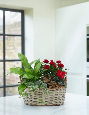 Luxury Flowering Basket