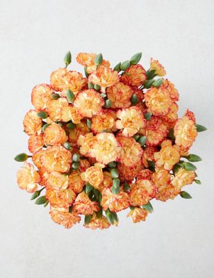 Orange Spray Carnation Abundance