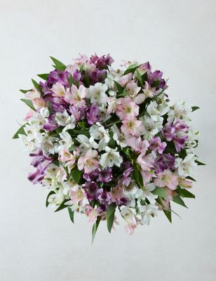 Alstroemeria Abundance Bouquet