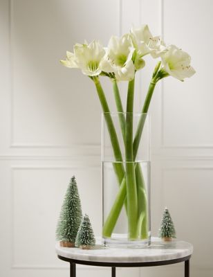Wintery White Amaryllis Flowers Bouquet