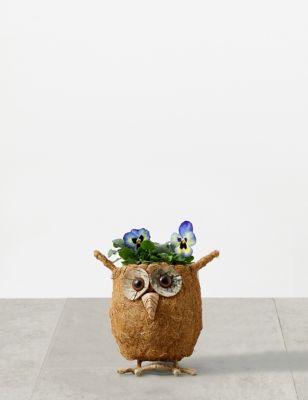 Sisal Owl Planter