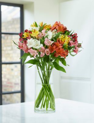 Rainbow Alstroemeria Bouquet (Delivery from 21st May 2022)