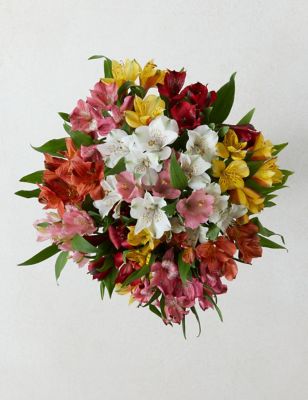 Rainbow Alstroemeria Bouquet