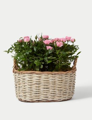 Pink Rose Basket (Delivery from 15th March 2023)