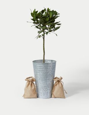 Baytree Planter With Slate
