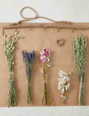 Dried Flower Wall Hanger Kit
