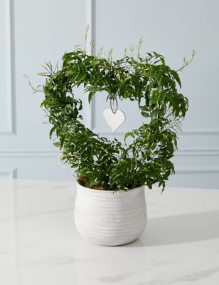Mums Jasmine Heart Ceramic (Delivery from 15th March 2023)