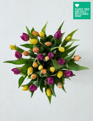 Rainbow Tulip Abundance with Grow Your Own Mini Sunflowers Kit
