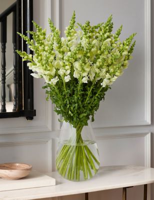White Snapdragon Bouquet
