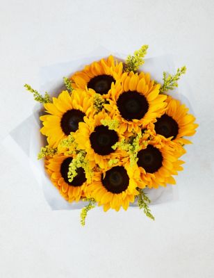 Sunflower Gift Bag with Grow Your Own Sunflowers Brick
