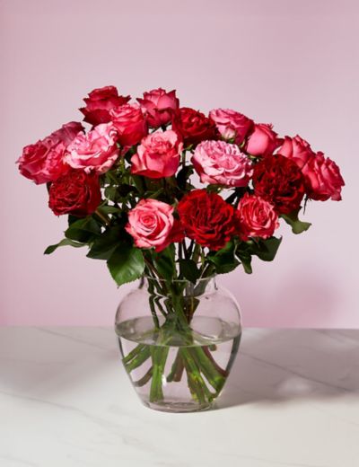 24 Red Roses  Roses Only UK