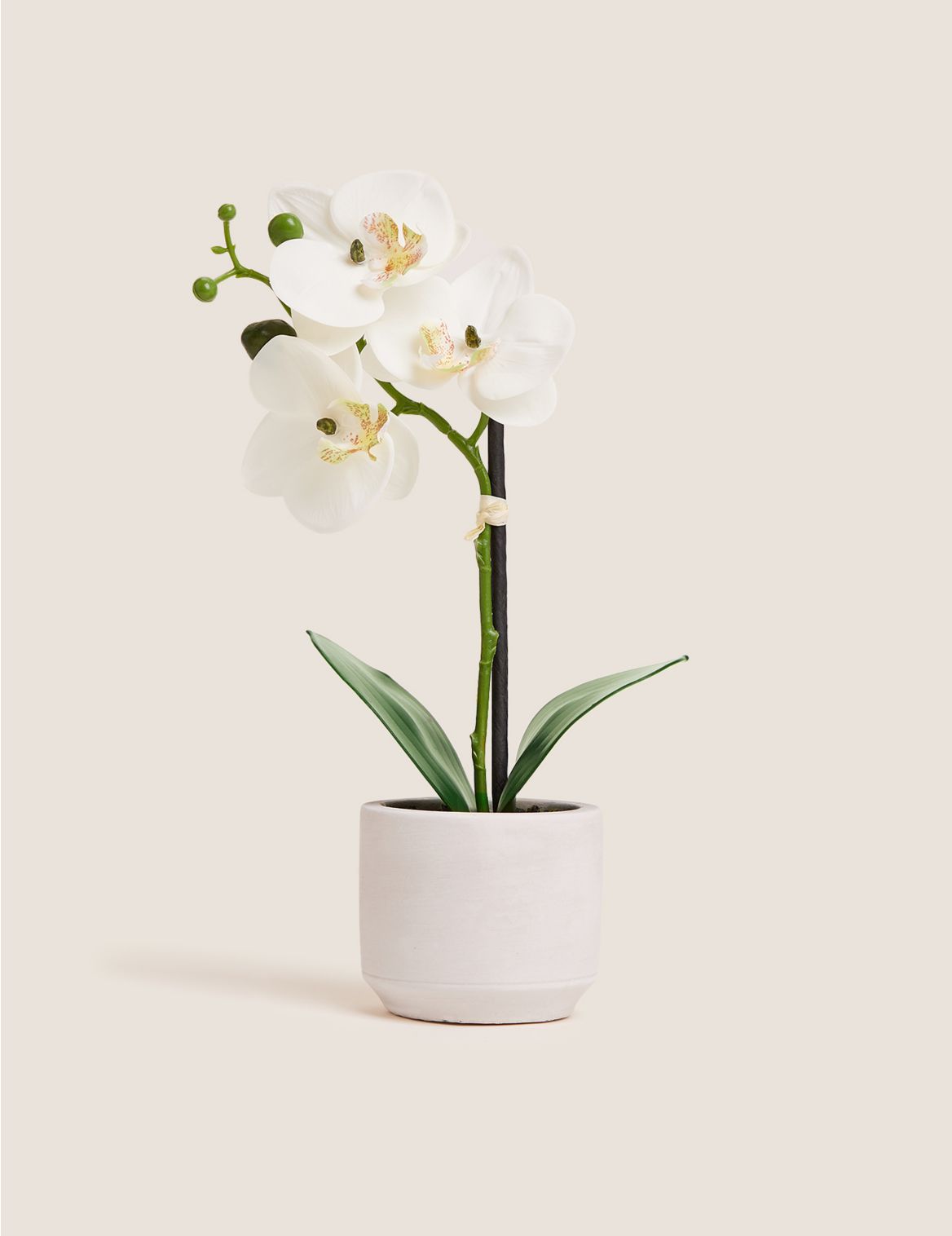 Artificial Small Orchid in Ceramic Pot white