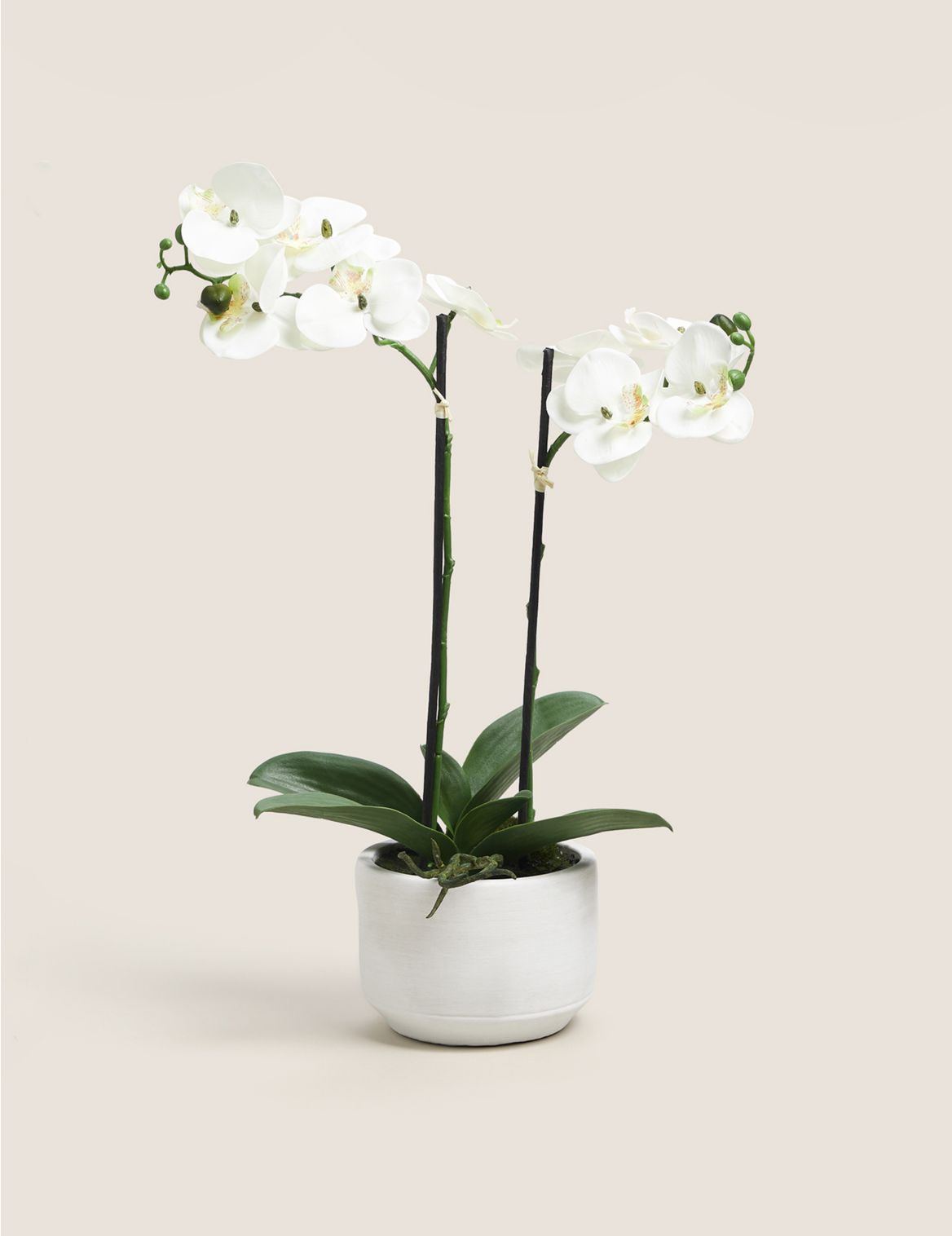 Artificial Medium Orchid Plant white