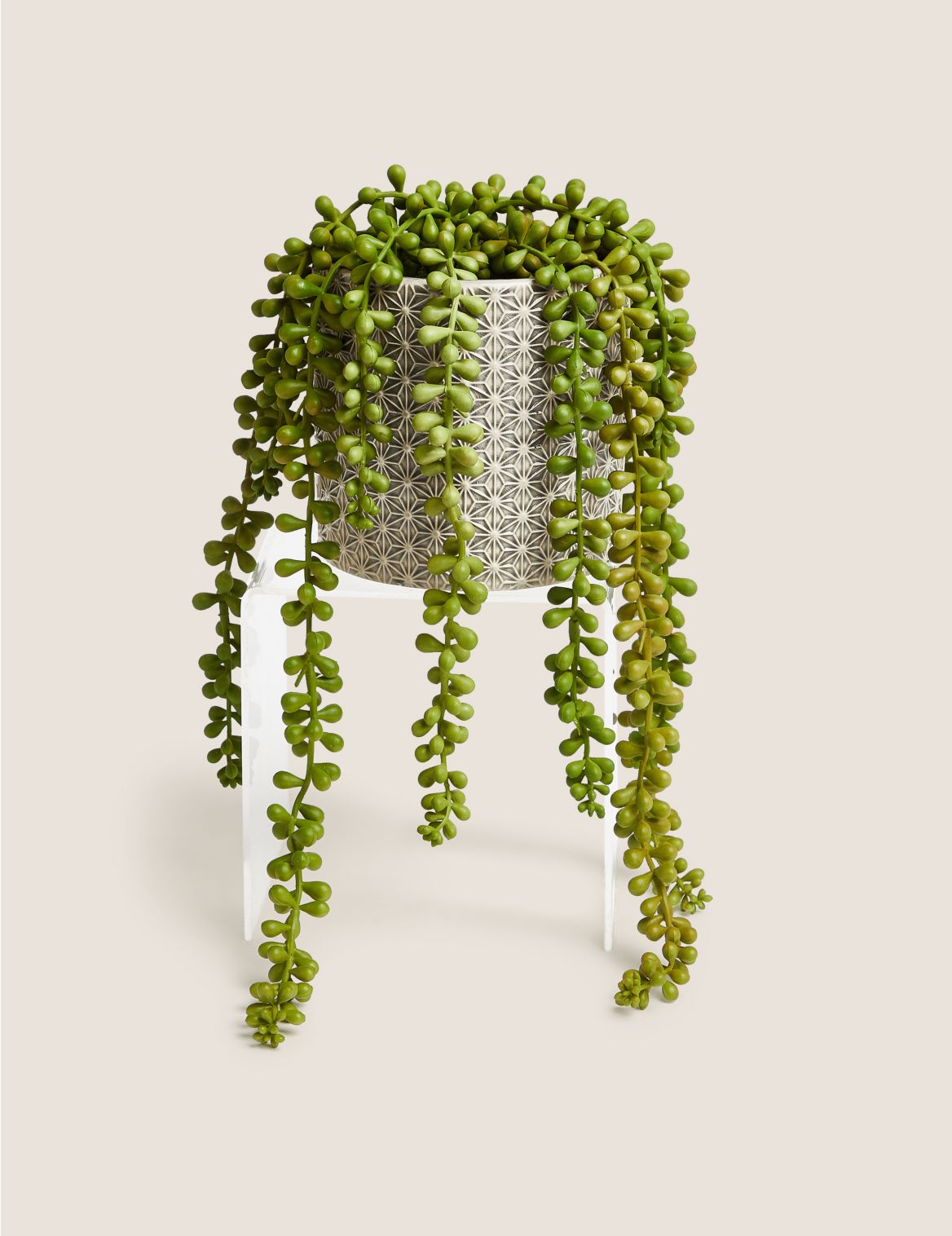Artificial String of Pearls in Ceramic Pot green