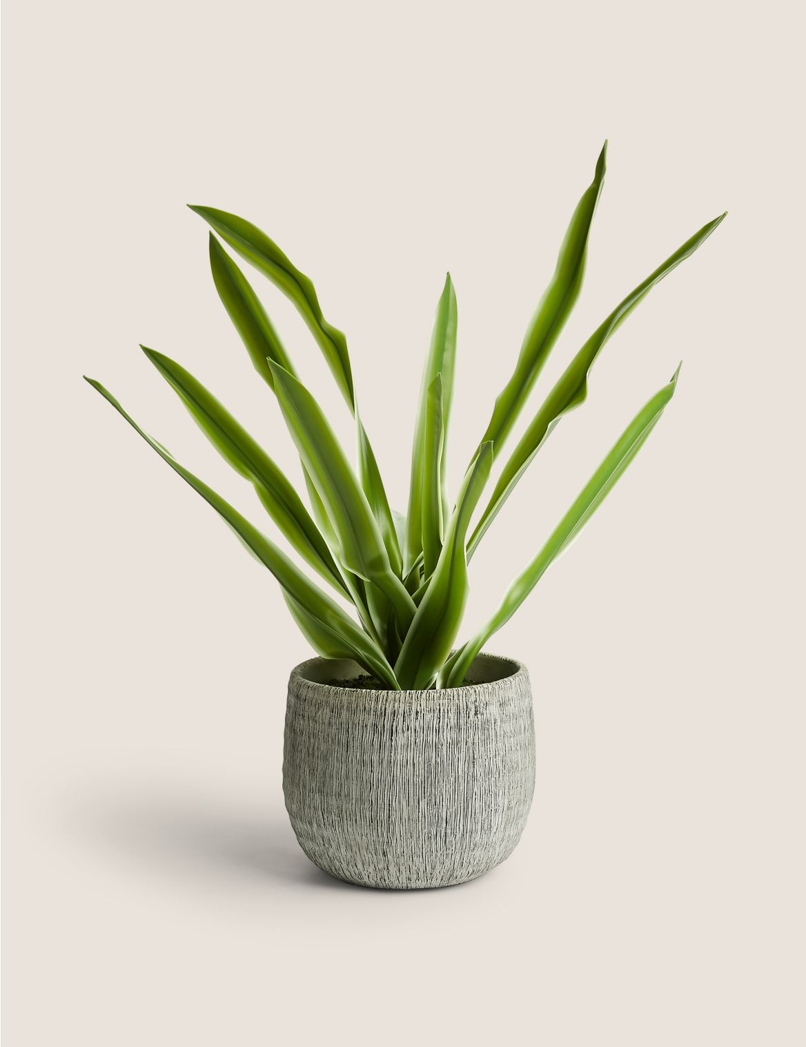Artificial House Plant in Textured Pot green