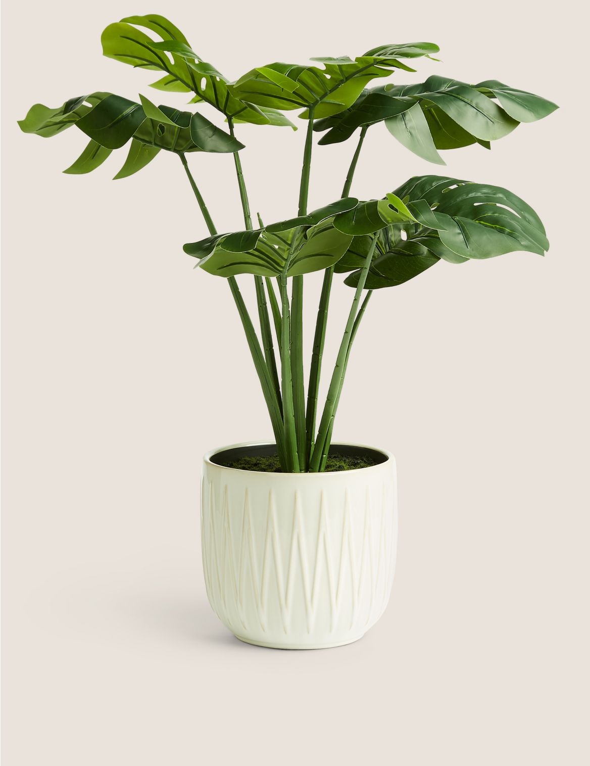 Artificial Cheese Plant in Glazed Pot green