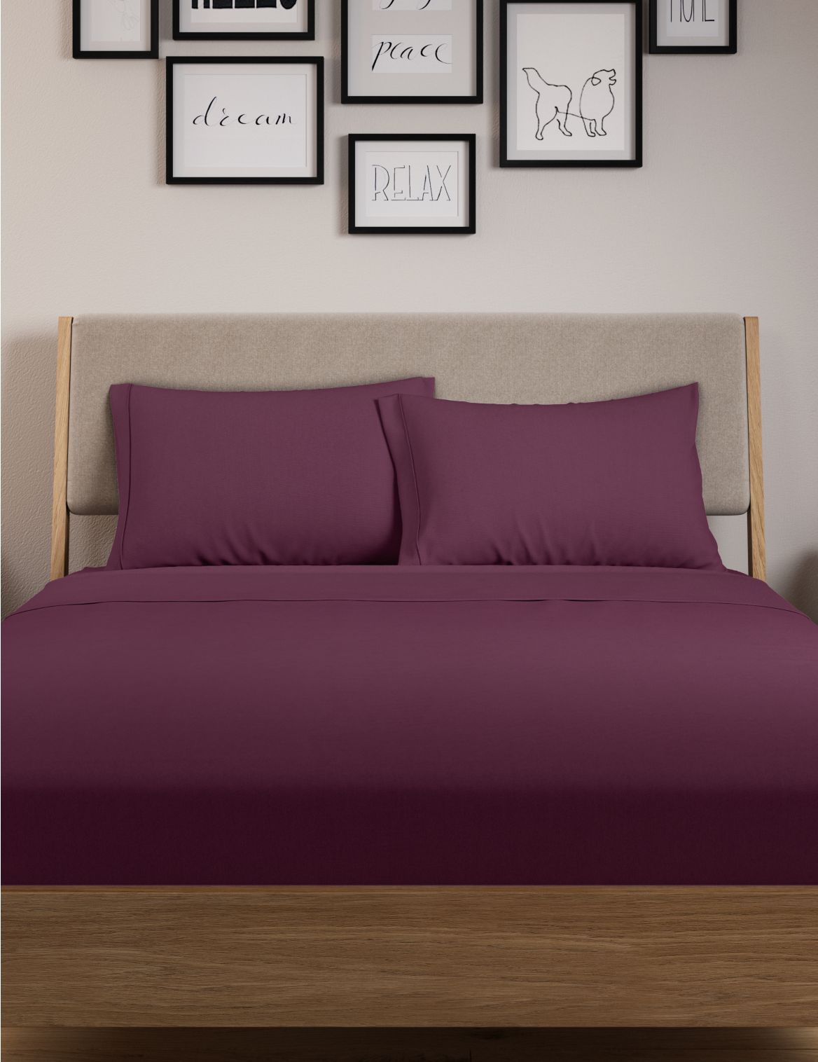 Egyptian Cotton 230 Thread Count Standard Pillowcase Purple