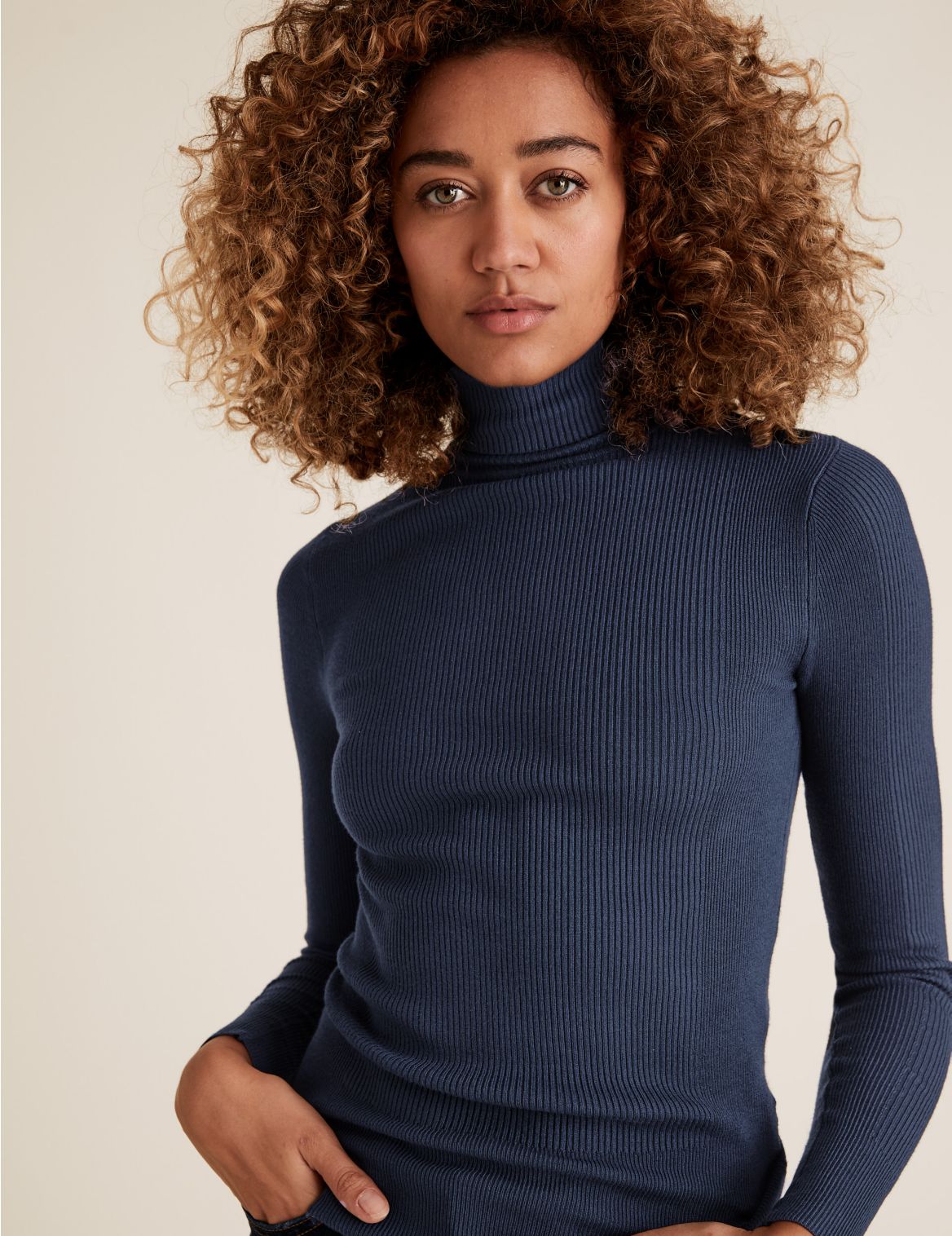 Ribbed Roll Neck Fitted Jumper navy
