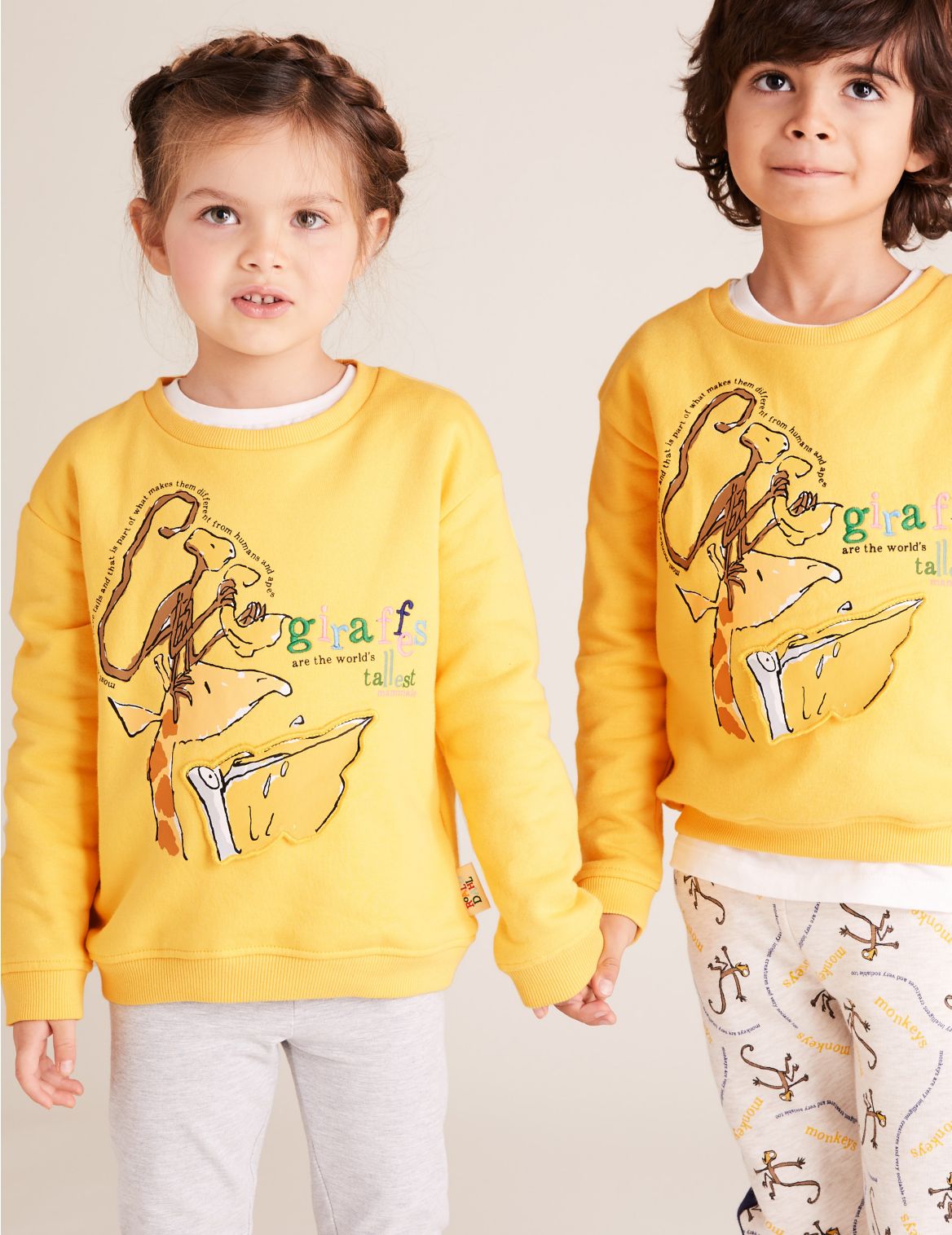 Roald Dahl&trade; & NHM&trade; Giraffe Sweatshirt (2-7 Yrs) yellow