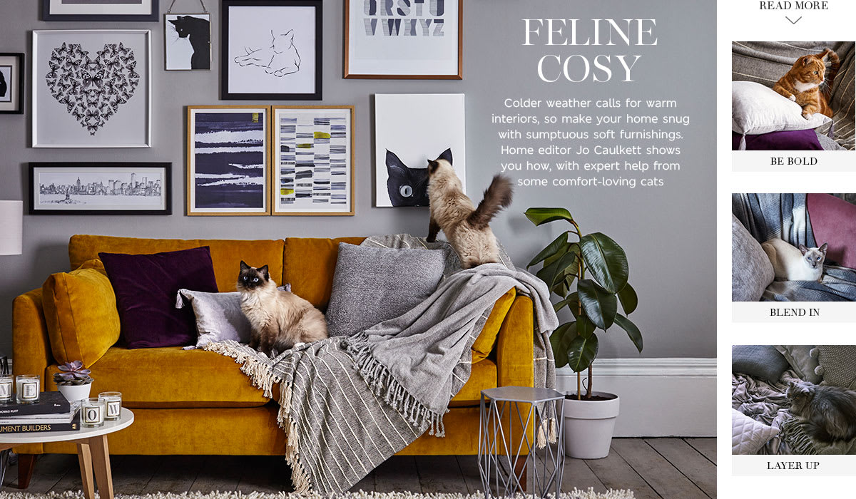 Create A Cosy Home With Cushions And Throws